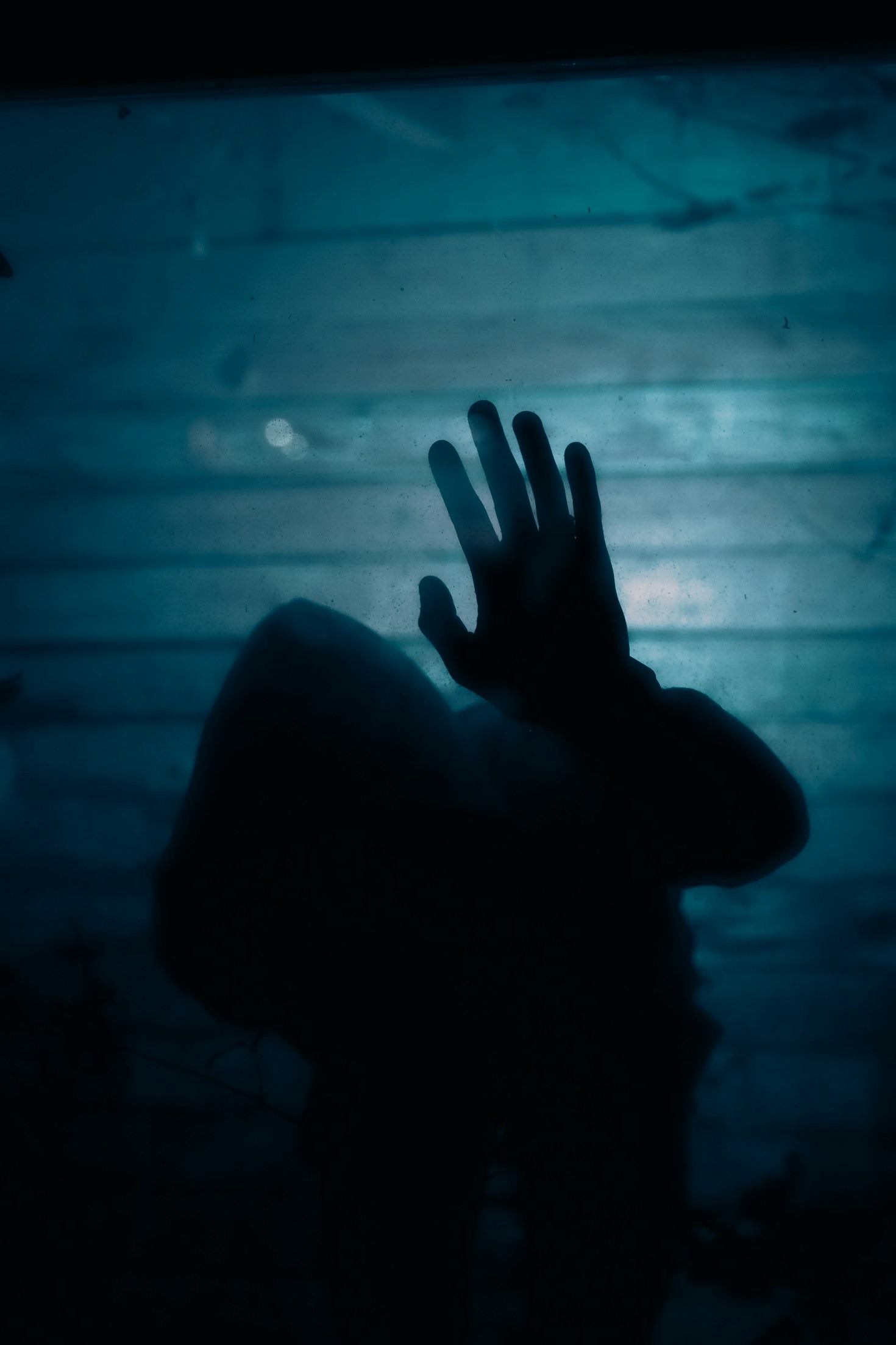 Horror und Realität: Wo treffen sie sich?